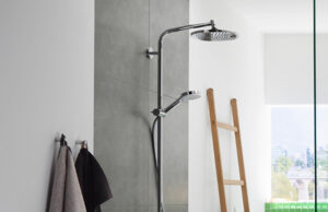 Особенности душевых систем hansgrohe Crometta