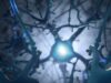 Neuralink: первые чипы скоро будут имплантированы людям
