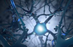 Neuralink: первые чипы скоро будут имплантированы людям