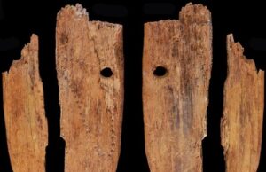 Подвеска из бивня мамонта оказалась старейшим украшением в Евразии