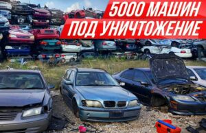 Самая большая «авторазборка» в мире, где можно «скрутить» все, что нужно