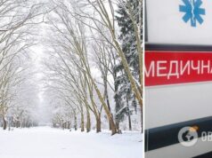 Во Львове женщина получила травму позвоночника из-за падения ветки в парке