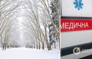 Во Львове женщина получила травму позвоночника из-за падения ветки в парке