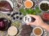 Роль железа в организме