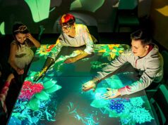 В чем особенности мультимедийного парка развлечений Hello Park