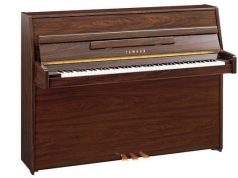 Функциональность пианино