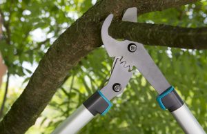 Каким должен быть садовый секатор