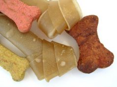 Какие лакомства можно давать собакам