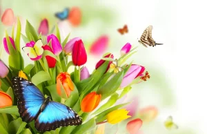 Оригинальные открытки и поздравления для любого праздника