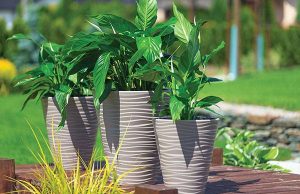 Как правильно подобрать кашпо для цветов