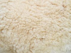 Альпака — не лама: все о свойствах меха