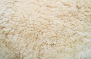 Альпака — не лама: все о свойствах меха