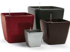 Как подобрать кашпо для растений