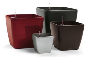 Как подобрать кашпо для растений