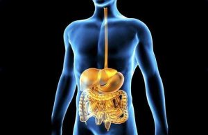 Зачем следить за здоровьем желудочно-кишечного тракта?