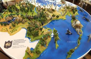 Как создать и разработать макеты в макетной мастерской