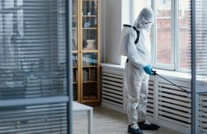 Эффективные средства и методы удаления плесени и грибка: выбор оптимальных продуктов и техник для очистки поверхностей