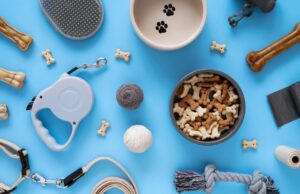 Выбор, качество и влияние товаров для домашних животных на их здоровье и комфорт