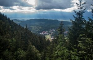 Плюсы румынского гражданства