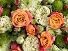 Флористика как искусство: создание авторских букетов из живых цветов