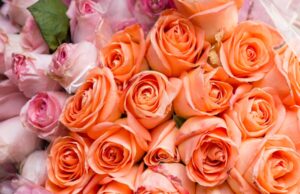 Оранжевые розы — символ оптимизма и радости: создание стильных и оригинальных букетов