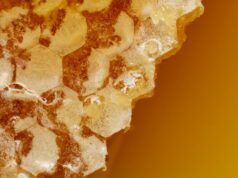 Сдача Пчелиного Воска