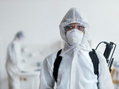 Обработка от борщевика: методы борьбы с инвазивными растениями в городской и загородной среде