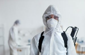 Обработка от борщевика: методы борьбы с инвазивными растениями в городской и загородной среде