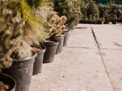 Бетон в ландшафтном дизайне