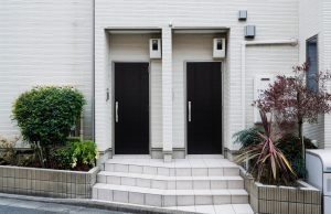 Характерные особенности входных дверей