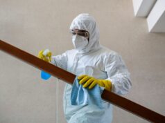 Удаление плесени в помещениях — комплексный подход к борьбе с грибковыми заражениями