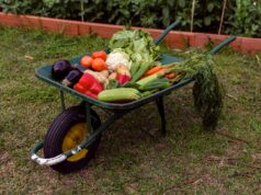 Садовые тачки для профессионалов — надежные решения для строительных и ландшафтных работ