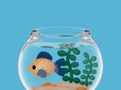 Аквариумы и подставки: создайте идеальную экосистему для рыб