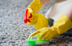 Как проходит основательная стирка и чистка ковровых покрытий и паласов?