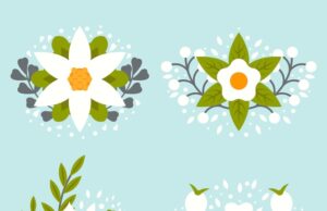 белый цветок символ значение и история