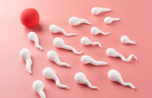 во сне сперма значение и причины