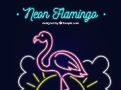 розовый фламинго символизирует что означает