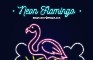 розовый фламинго символизирует что означает