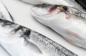 сколько коптить судака советы и время приготовления