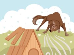 12 дом водолей астрология и его значение