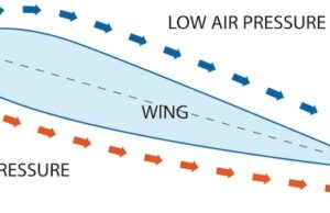 воздушные знаки зодиака характеристика и особенности