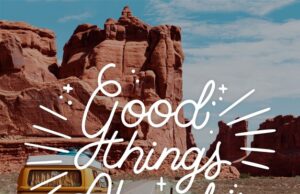 цитаты тупых пезд и их значение