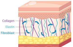 что такое скин слой и его особенности