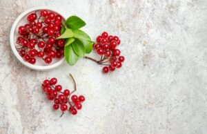 мус калина 1 особенности и характеристики