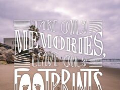 красивые цитаты про море вдохновение и романтика