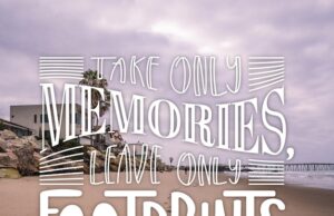 красивые цитаты про море вдохновение и романтика