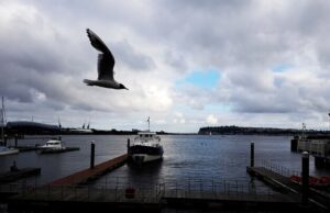 пополнить егкс севастополь быстро и удобно