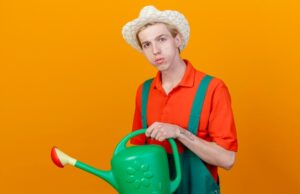 автополив алекс гайвер установка и преимущества