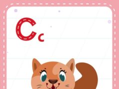 Как выбрать имя для хомячихи