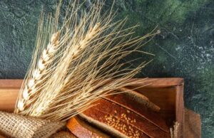 Рецепт и особенности подового хлеба